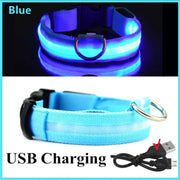 Glowing Dog Collar - VMX PETS - VMX PETS