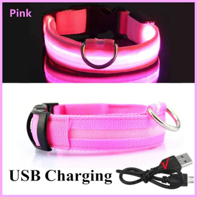 Glowing Dog Collar - VMX PETS - VMX PETS