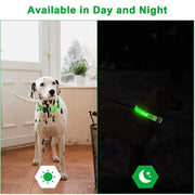 Glowing Dog Collar - VMX PETS - VMX PETS