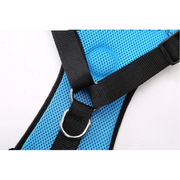 Dog supplies Breathable mesh chest straps Pet car safety chest back - VMX PETS - VMX PETS