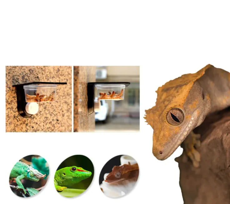 Space-Saving Pet Basin - VMX PETS - VMX PETS