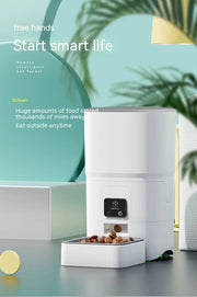 6L Smart Automatic Pet Feeder with Remote WiFi Control - VMX PETS - VMX PETS