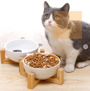 Ceramic Pet Bowl - VMX PETS - VMX PETS