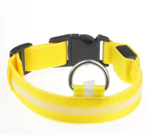 LED Dog Collar - VMX PETS - VMX PETS