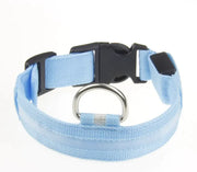 LED Dog Collar - VMX PETS - VMX PETS