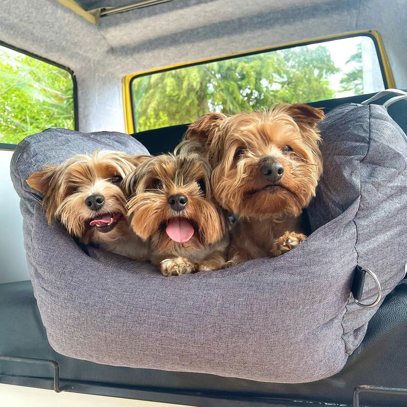 Pet Travel Bed - VMX PETS - VMX PETS