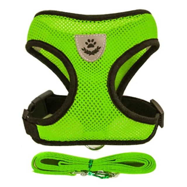Pet Harness - VMX PETS - VMX PETS