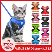 Pet Harness - VMX PETS - VMX PETS