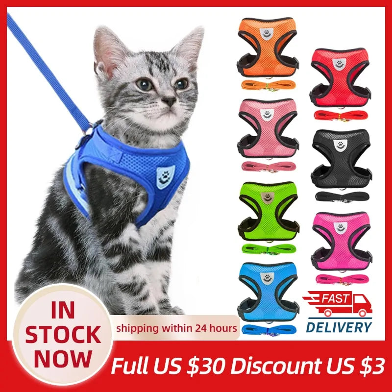 Pet Harness - VMX PETS - VMX PETS